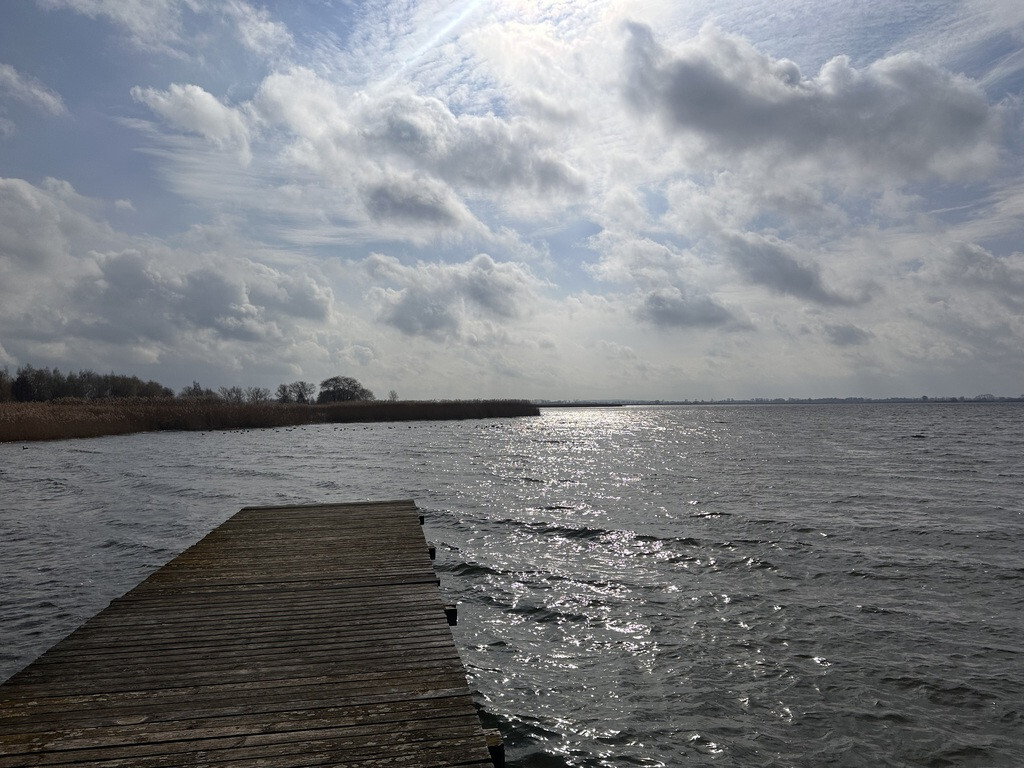 Działka na sprzedaż Wierzbno 1 284 m2 | Arka Nieruchomości