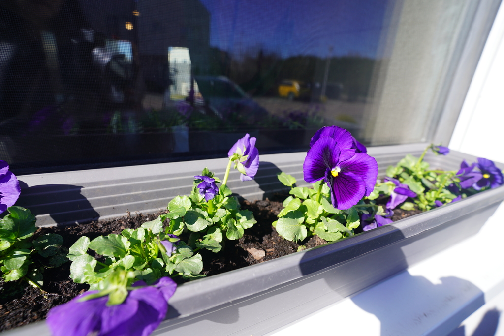 Dom na sprzedaż Szczecin, Gumieńce 78 m2 | Arka Nieruchomości