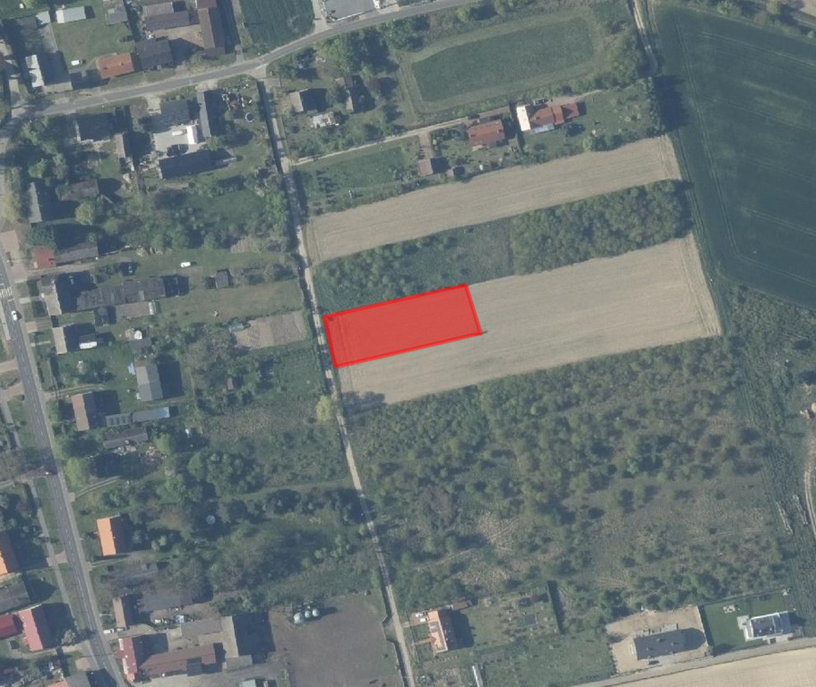 Zdjęcie 14