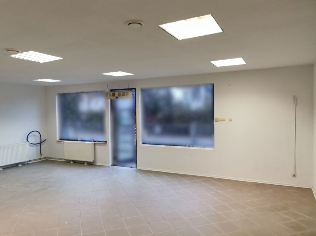 Obiekt na wynajem Mierzyn 460 m2 | Arka Nieruchomości
