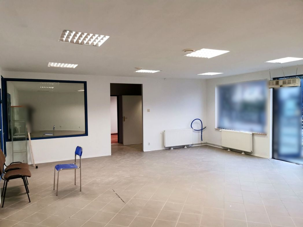Obiekt na wynajem Mierzyn 460 m2 | Arka Nieruchomości