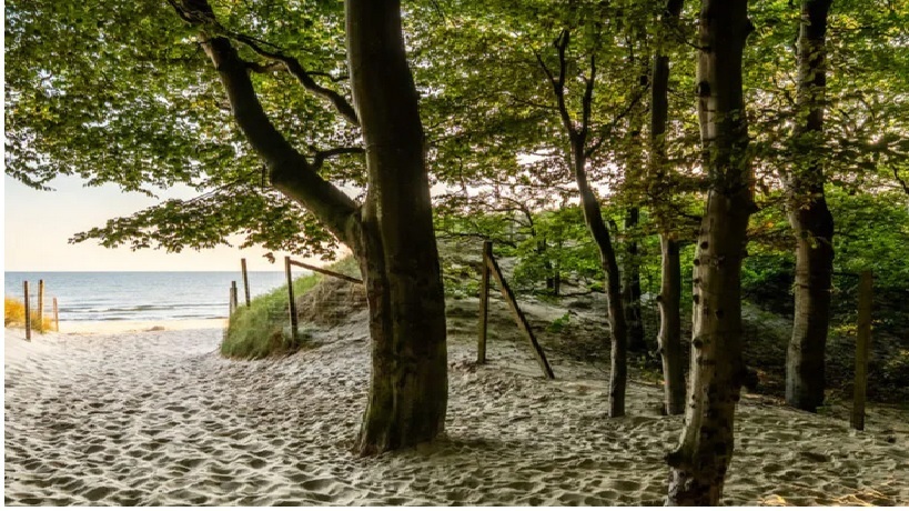 Mieszkanie na sprzedaż Grzybowo 44 m2 | Arka Nieruchomości