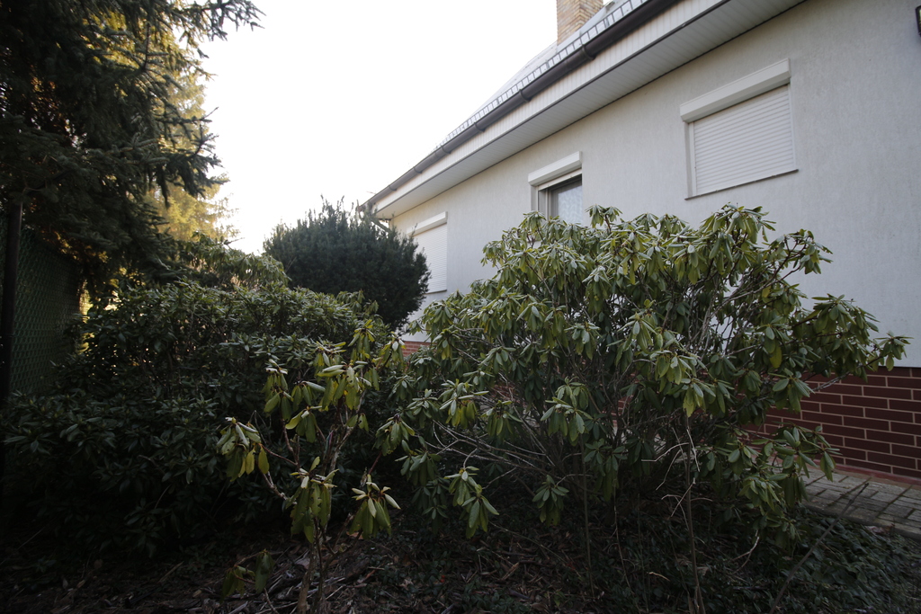 Dom na sprzedaż Zieleniewo 104 m2 | Arka Nieruchomości