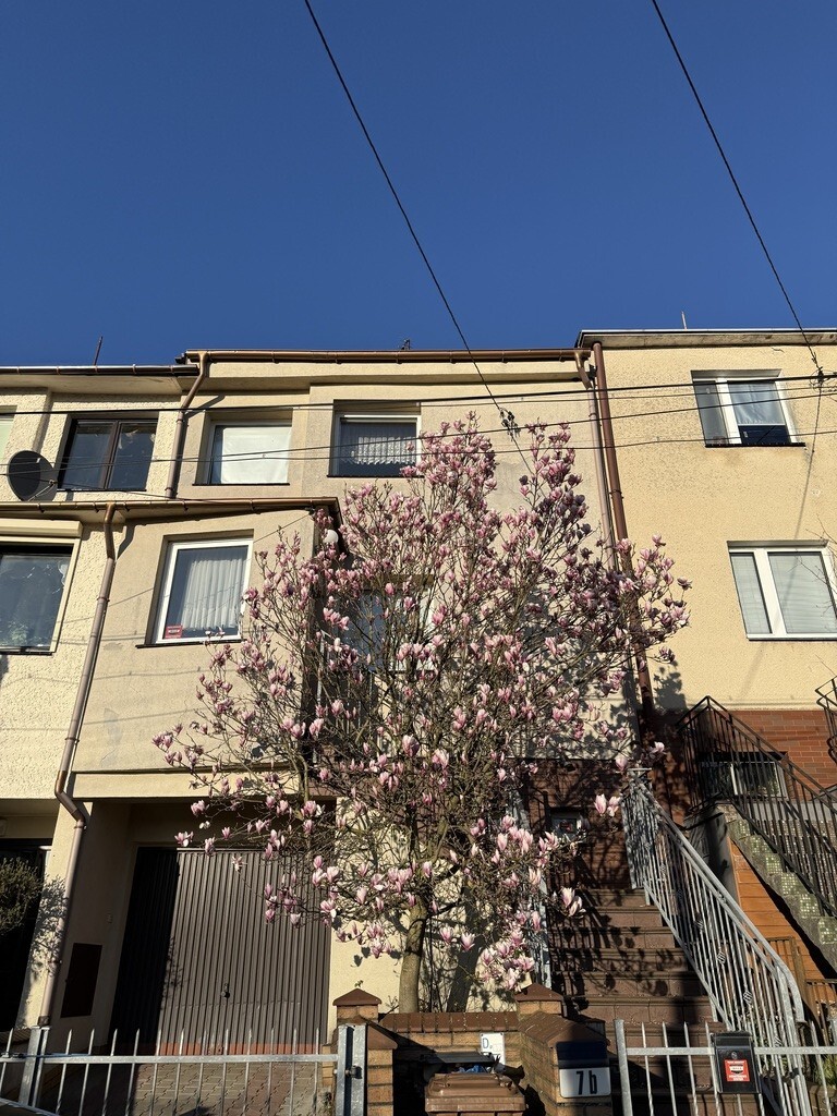 Dom na sprzedaż Szczecin, Pomorzany 201 m2 | Arka Nieruchomości