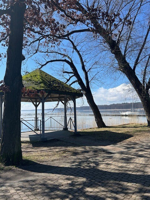 Działka na sprzedaż Morzyczyn 7 815 m2 | Arka Nieruchomości