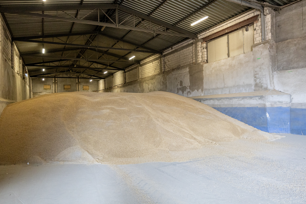 Obiekt na sprzedaż Piaseczno 4 584 m2 | Arka Nieruchomości