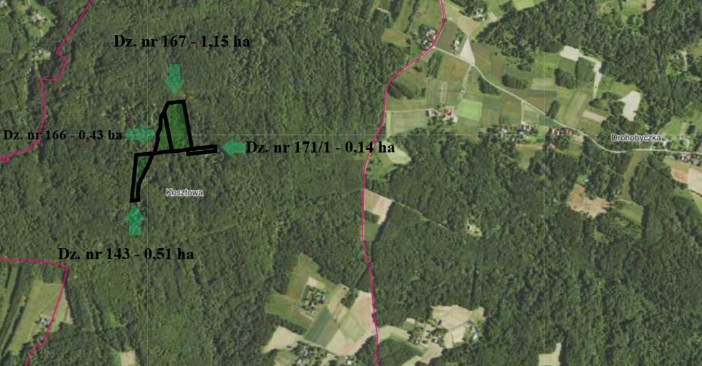 Działki leśne 2,23 ha Kosztowa - OKAZJA