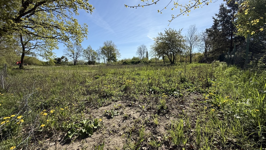 Działka na sprzedaż Karwowo 1 157 m2 | Arka Nieruchomości