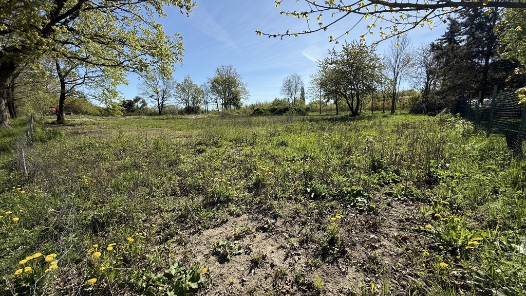 Działka na sprzedaż Karwowo 1 157 m2 | Arka Nieruchomości