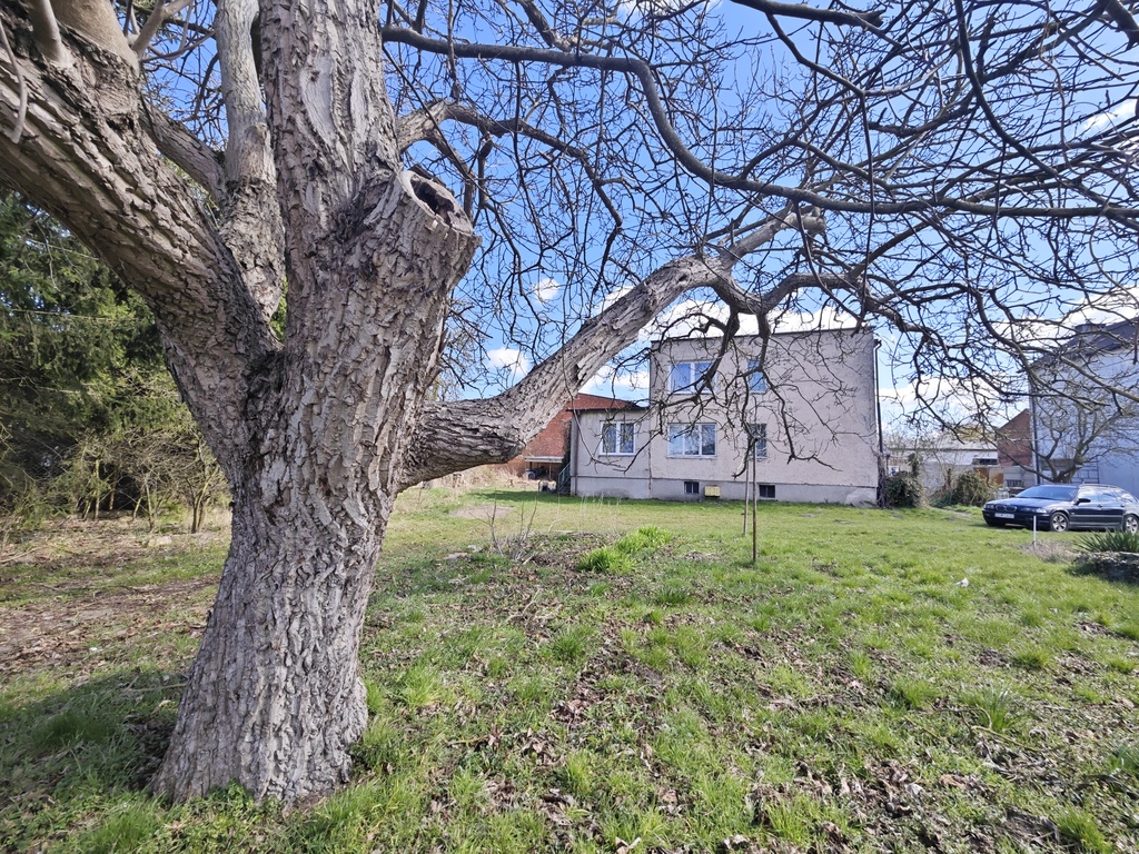 Działka na sprzedaż Pilchowo 165 m2 | Arka Nieruchomości