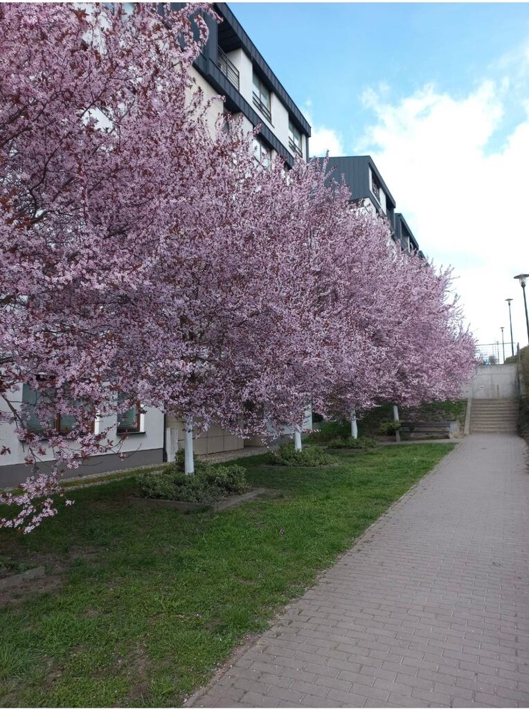 Mieszkanie na sprzedaż Szczecin, Warszewo 55 m2 | Arka Nieruchomości