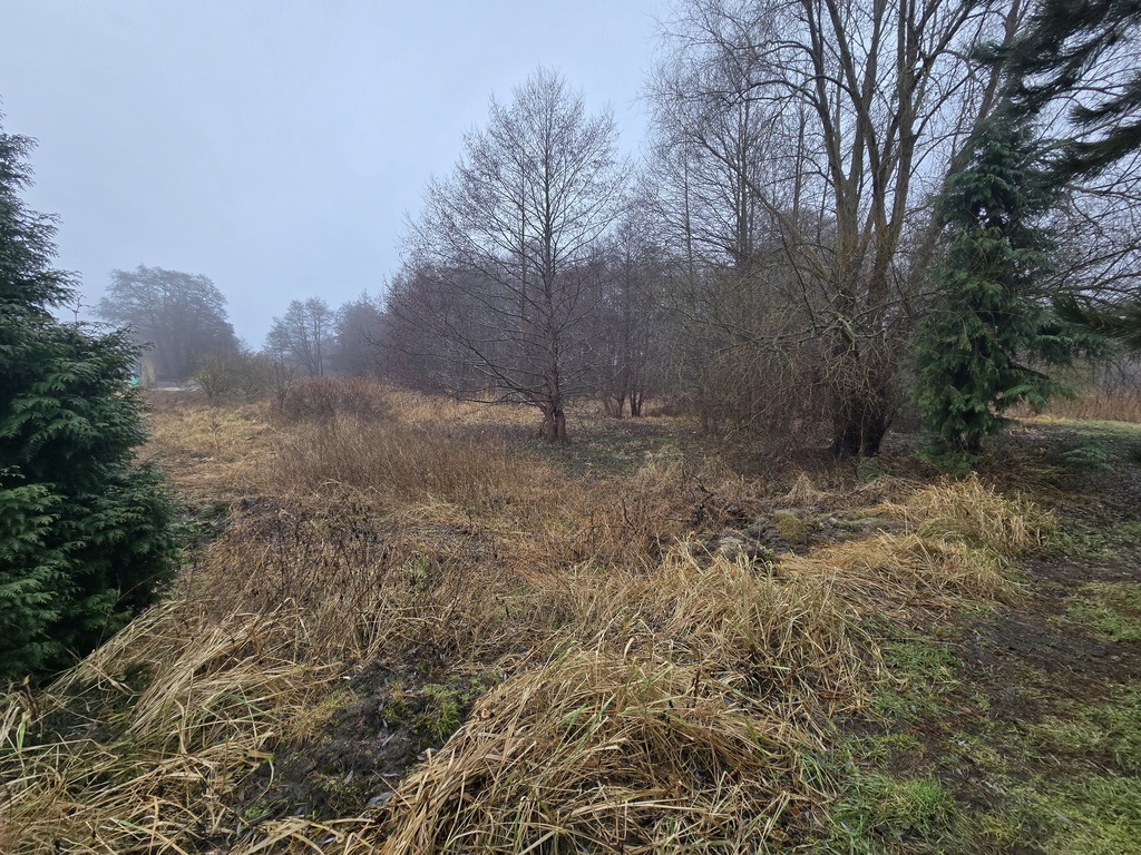Działka na sprzedaż Trzebież 4 200 m2 | Arka Nieruchomości