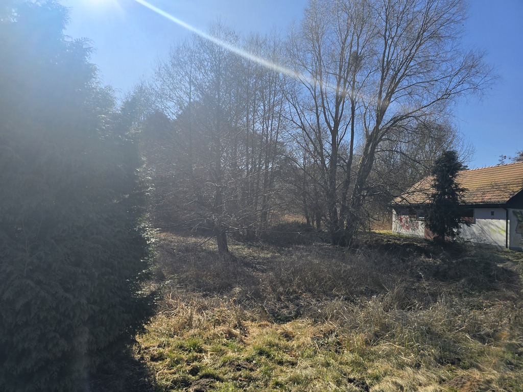 Działka na sprzedaż Trzebież 4 200 m2 | Arka Nieruchomości