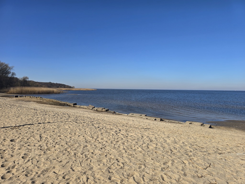 Działka na sprzedaż Trzebież 4 200 m2 | Arka Nieruchomości