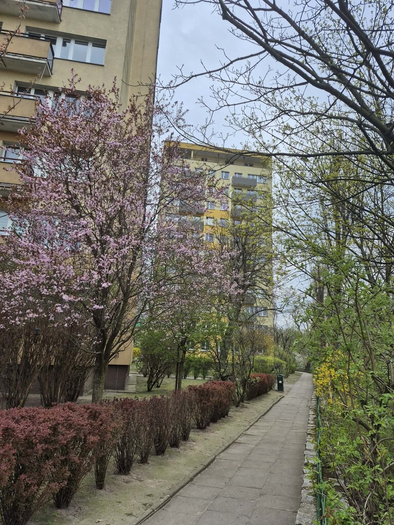 Mieszkanie na sprzedaż Szczecin, Śródmieście-Centrum 63 m2 | Arka Nieruchomości