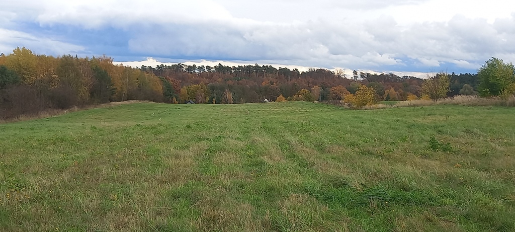 Działka na sprzedaż Steklno 837 m2 | Arka Nieruchomości