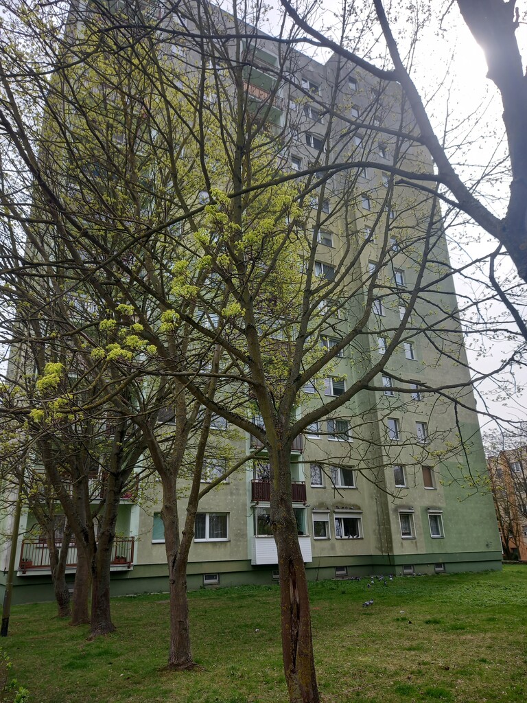 Mieszkanie na sprzedaż Szczecin, os. Arkońskie 48 m2 | Arka Nieruchomości