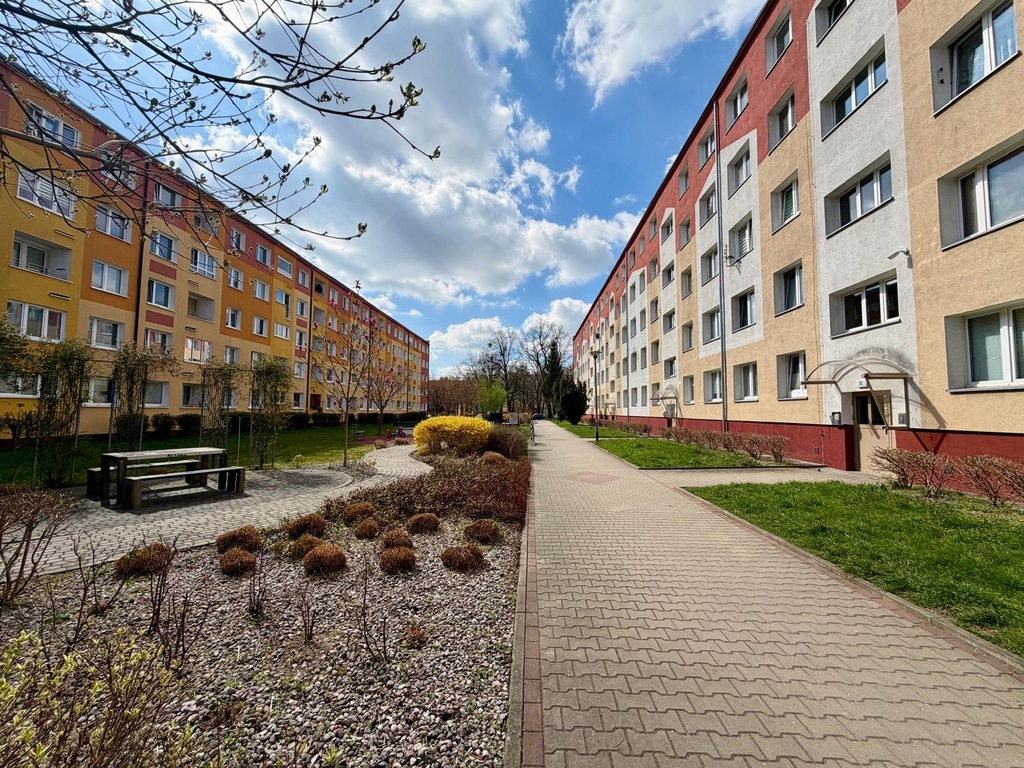 Mieszkanie na wynajem Szczecin, Pomorzany 33 m2 | Arka Nieruchomości