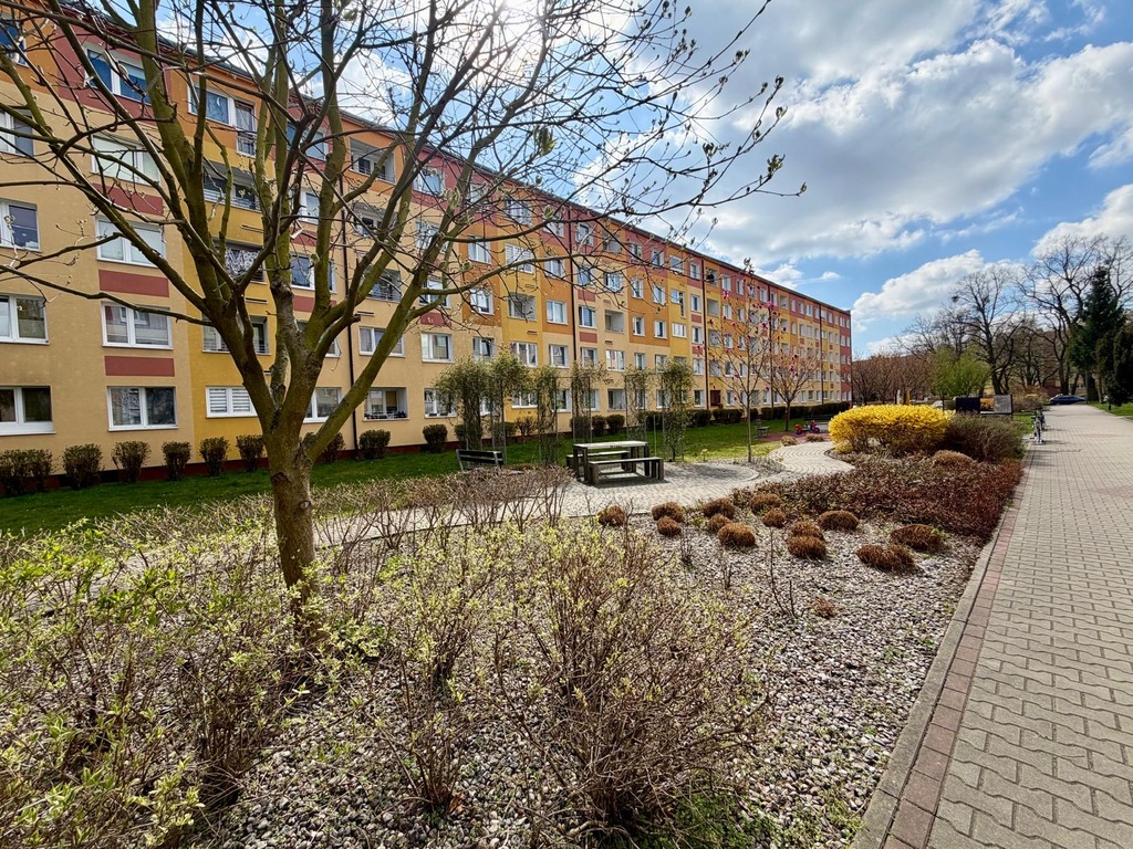 Mieszkanie na wynajem Szczecin, Pomorzany 33 m2 | Arka Nieruchomości