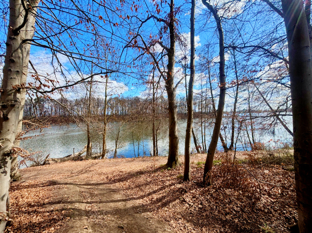 Działka na sprzedaż Lipiany 3 030 m2 | Arka Nieruchomości