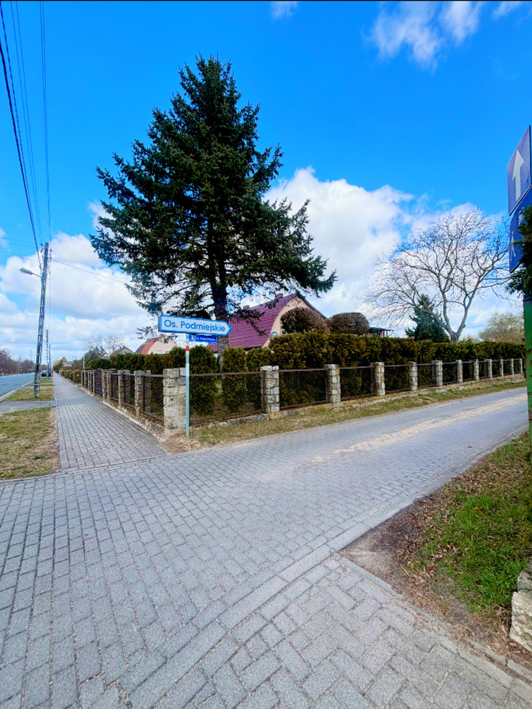 Działka na sprzedaż Lipiany 3 030 m2 | Arka Nieruchomości