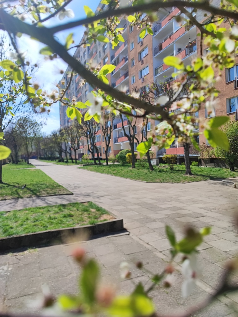 Mieszkanie na wynajem Stargard 31 m2 | Arka Nieruchomości