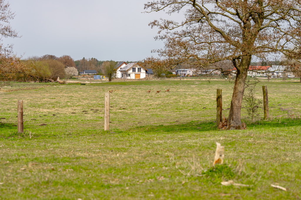 Działka na sprzedaż Tanowo 1 288 m2 | Arka Nieruchomości