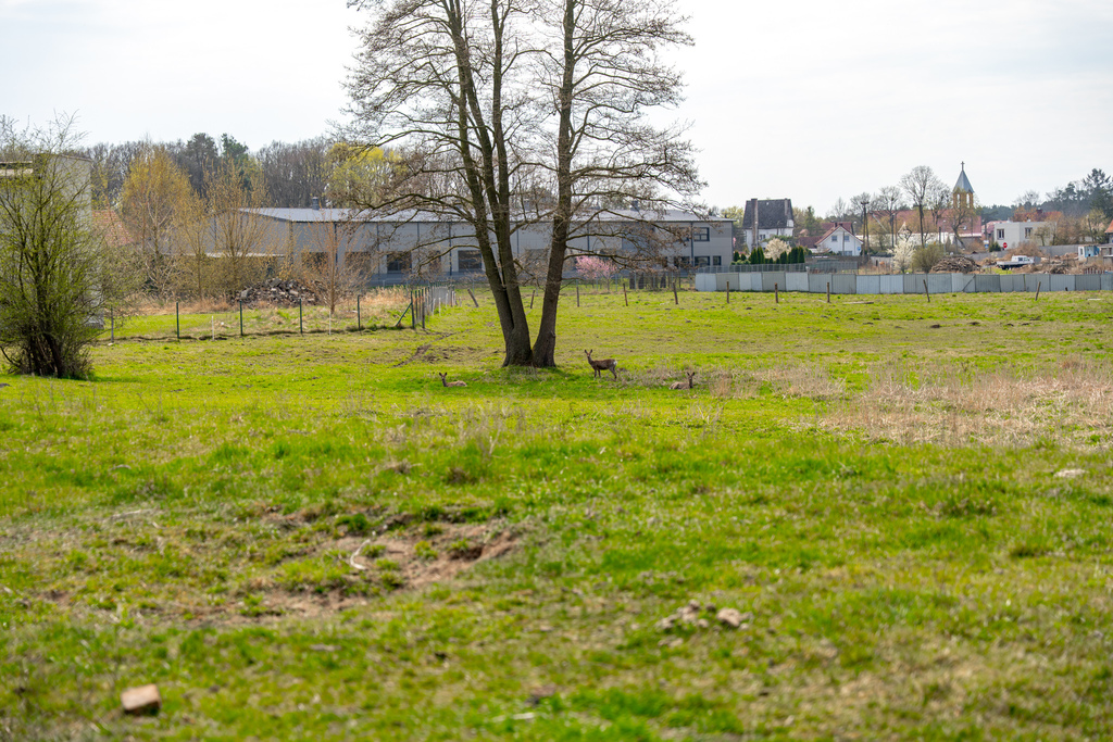 Działka na sprzedaż Tanowo 1 288 m2 | Arka Nieruchomości