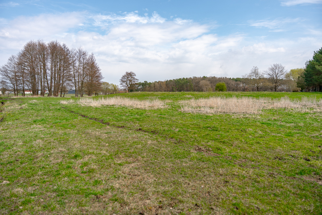 Działka na sprzedaż Tanowo 1 288 m2 | Arka Nieruchomości