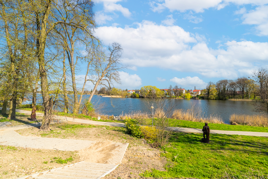Zdjęcie 11
