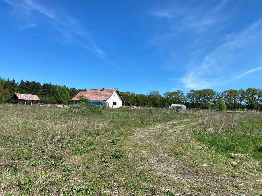 Działka na sprzedaż Dobropole Gryfińskie 1 718 m2 | Arka Nieruchomości