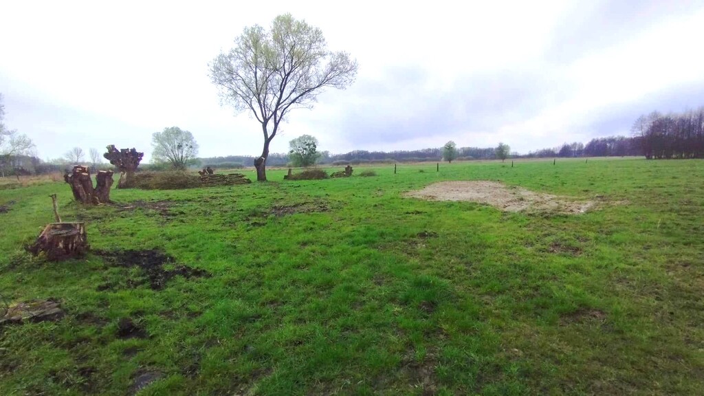 Działka na sprzedaż Dobropole Gryfińskie 1 951 m2 | Arka Nieruchomości