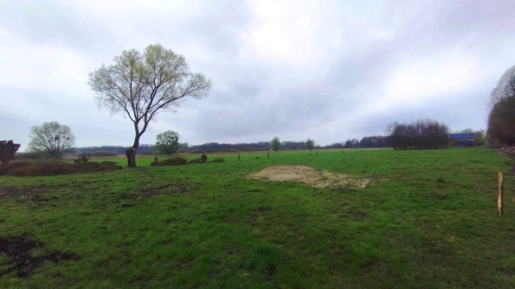 Działka na sprzedaż Dobropole Gryfińskie 1 951 m2 | Arka Nieruchomości
