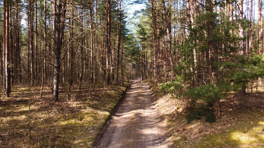 Działka — Stara Kaletka — zdjęcie 3