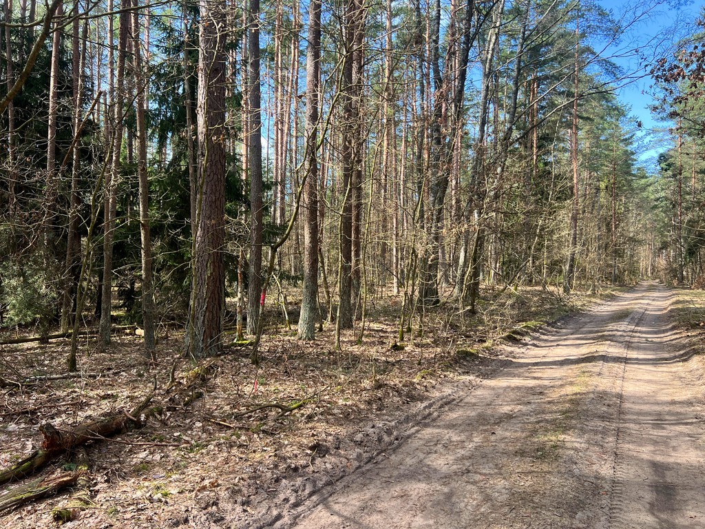 Działka — Stara Kaletka — zdjęcie 4