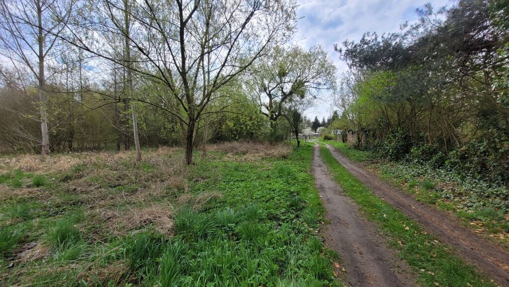 Działka na sprzedaż Żelewo 2 800 m2 | Arka Nieruchomości