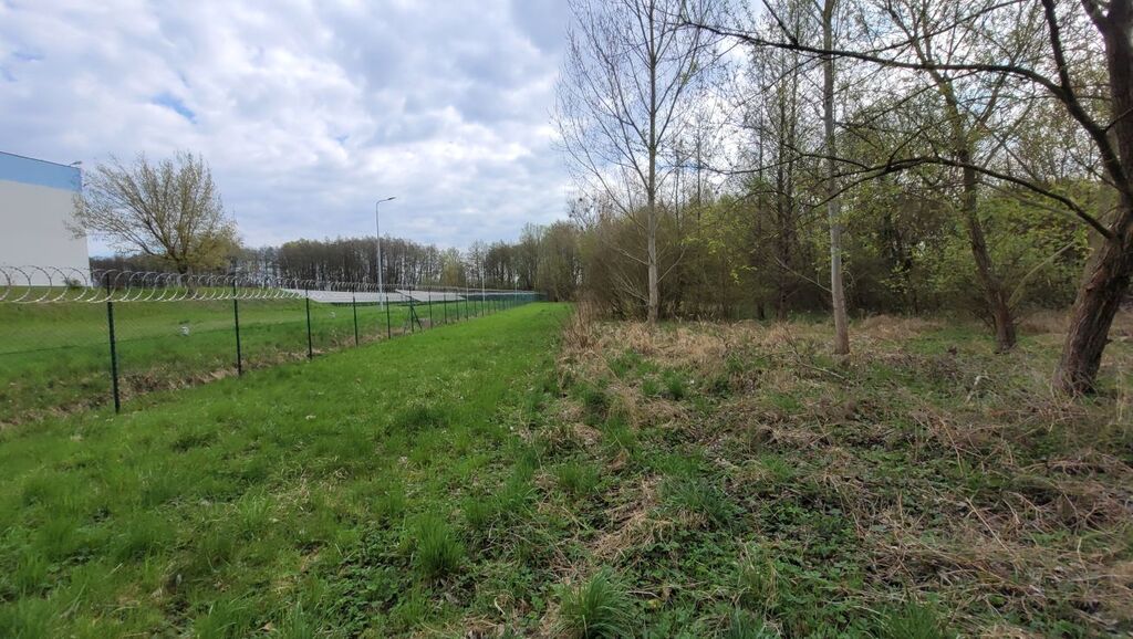 Działka na sprzedaż Żelewo 2 800 m2 | Arka Nieruchomości