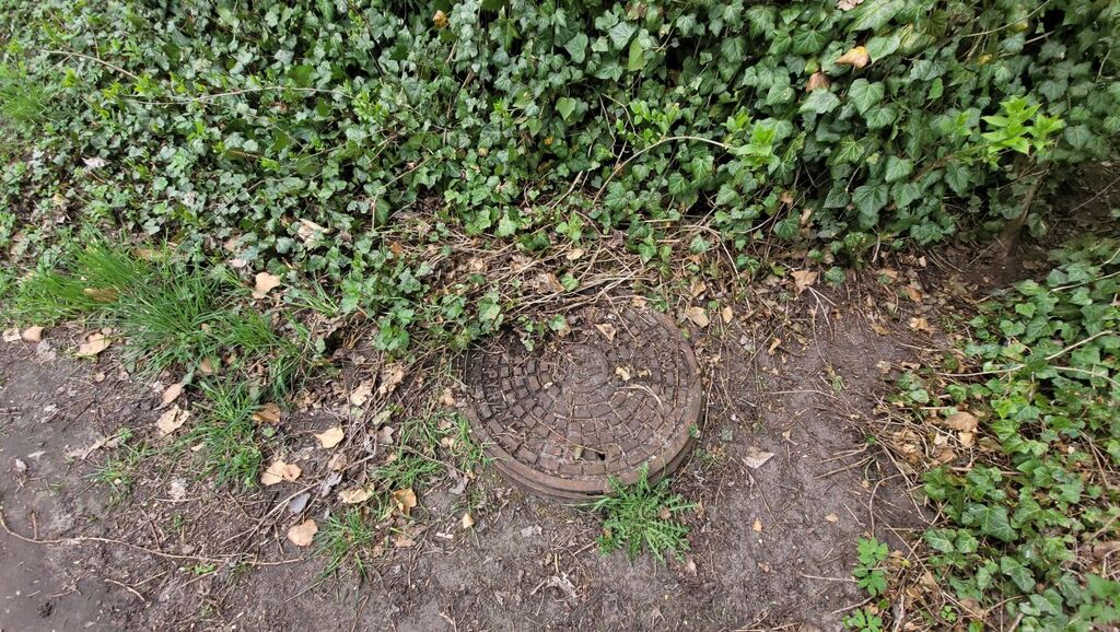 Działka na sprzedaż Żelewo 2 800 m2 | Arka Nieruchomości