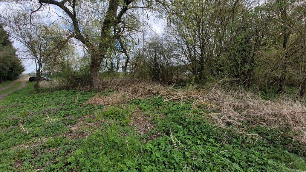 Działka na sprzedaż Żelewo 2 800 m2 | Arka Nieruchomości