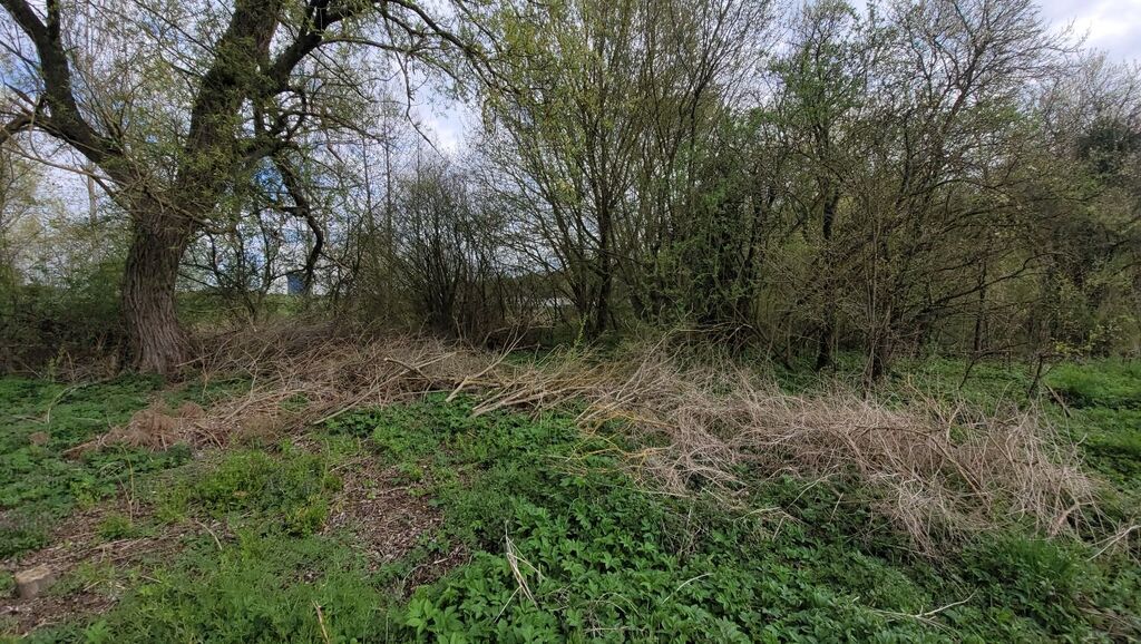 Działka na sprzedaż Żelewo 2 800 m2 | Arka Nieruchomości