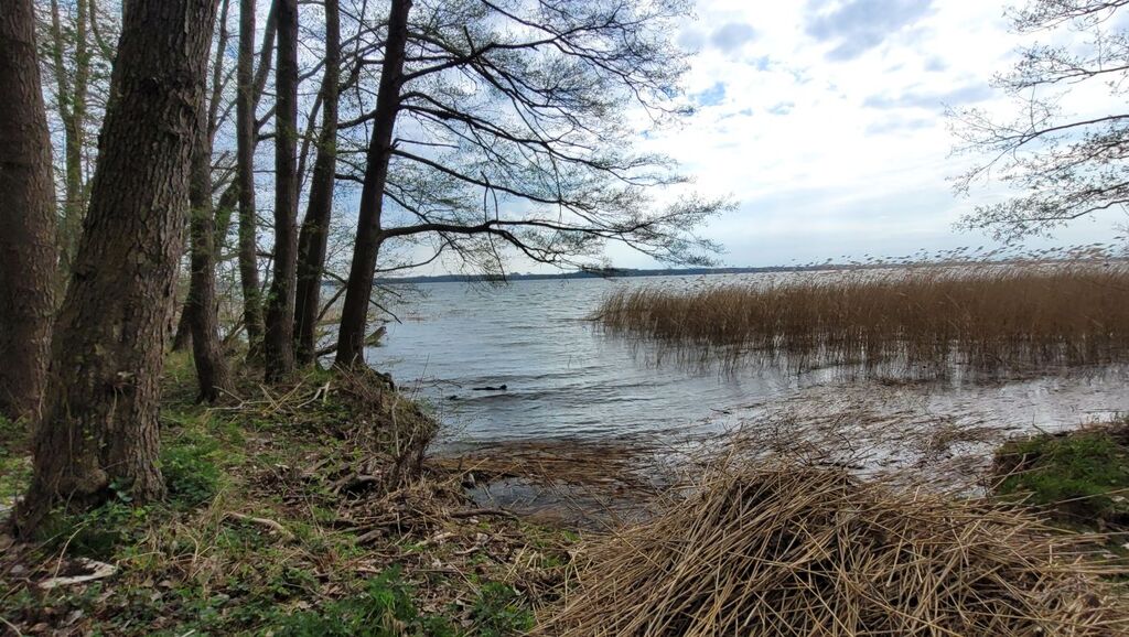 Działka na sprzedaż Żelewo 2 800 m2 | Arka Nieruchomości
