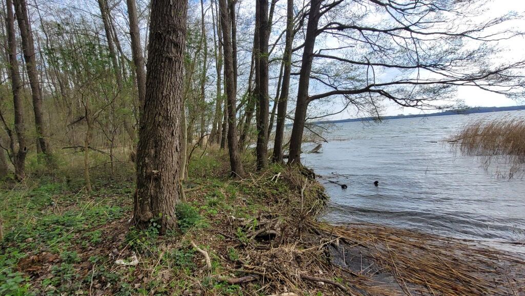 Działka na sprzedaż Żelewo 2 800 m2 | Arka Nieruchomości