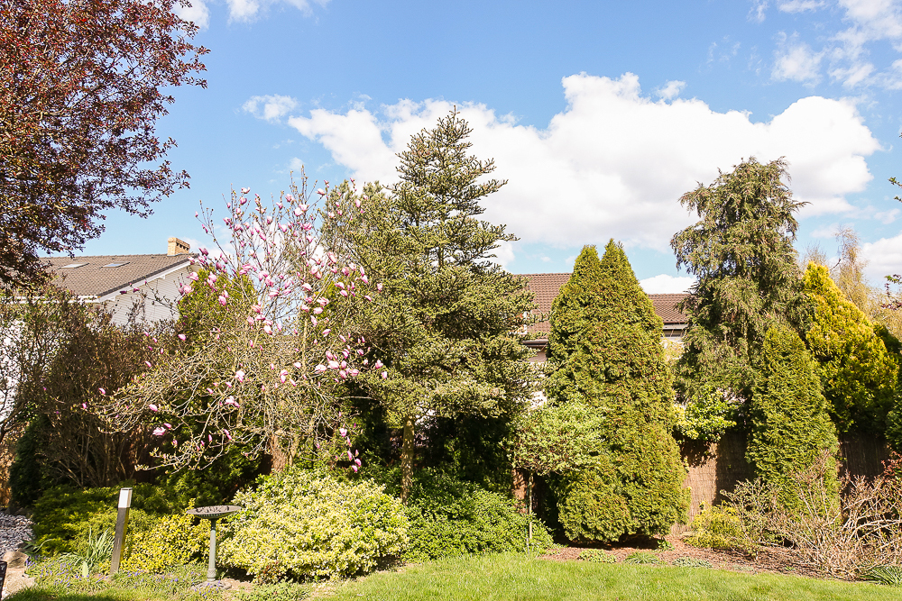 Dom na sprzedaż Bezrzecze 280 m2 | Arka Nieruchomości