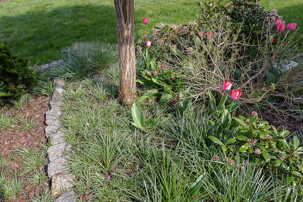 Dom na sprzedaż Bezrzecze 280 m2 | Arka Nieruchomości