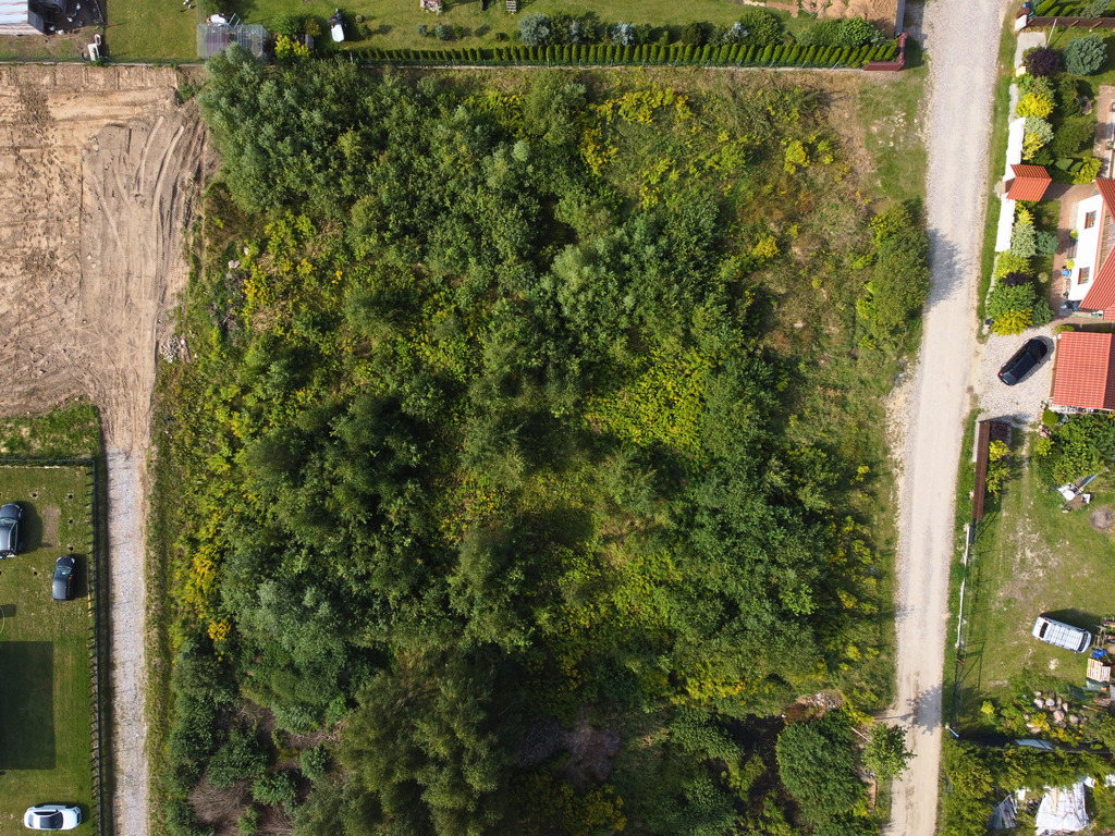 Ługwałd/Dywity - działka 3001 m² z opcją podziału — zdjęcie 6