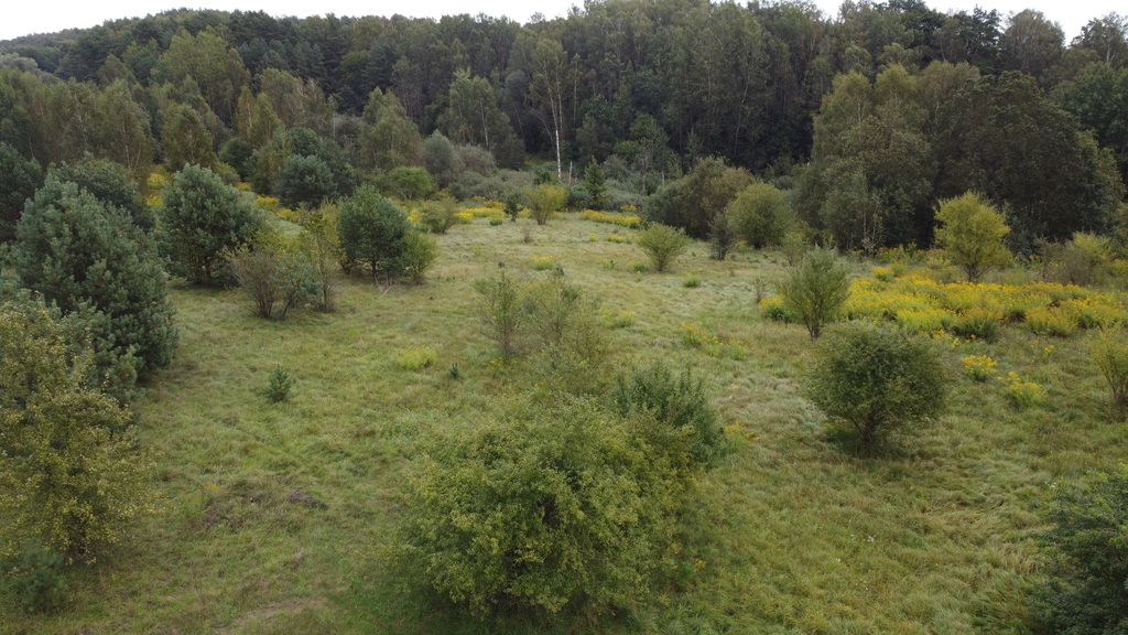 Działka budowlana z MPZP - brak sąsiadów z 3 stron — zdjęcie 7