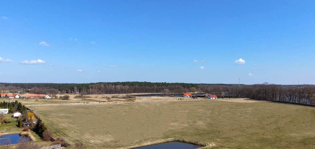 Działka na sprzedaż Zabierzewo 3 005 m2 | Arka Nieruchomości