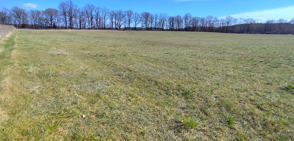 Działka na sprzedaż Zabierzewo 3 005 m2 | Arka Nieruchomości
