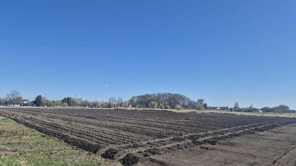 Działka na sprzedaż Lubczyna 9 000 m2 | Arka Nieruchomości