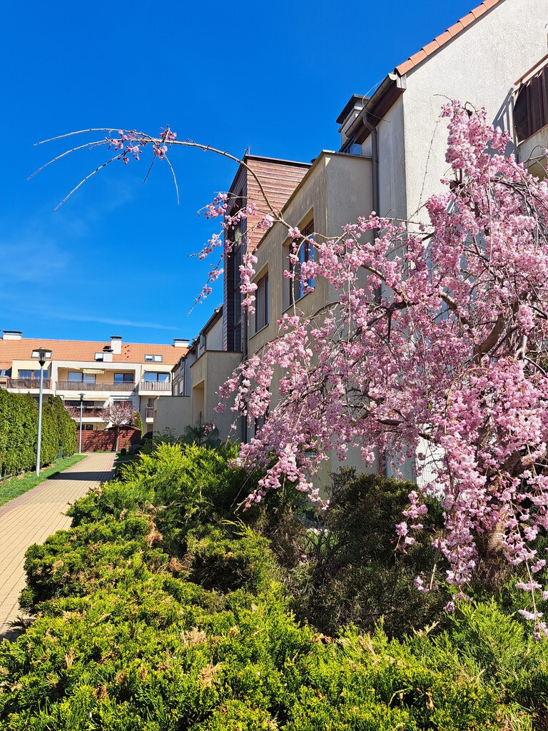 Mieszkanie na sprzedaż Bezrzecze 49 m2 | Arka Nieruchomości